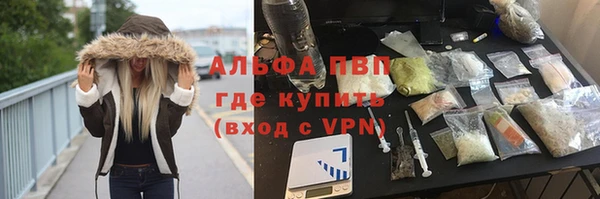 ГАЛЛЮЦИНОГЕННЫЕ ГРИБЫ Осинники