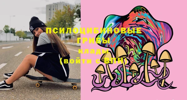 дживик Богородицк