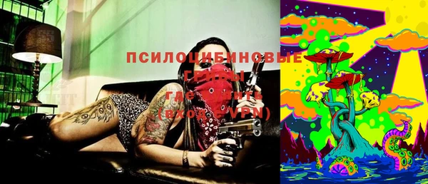 дживик Богородицк