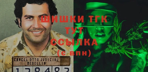 ECSTASY Богородск