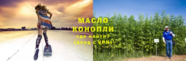 дживик Богородицк