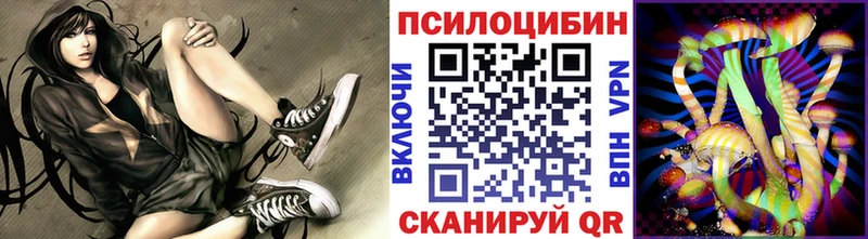 omg вход  Долинск  Галлюциногенные грибы Magic Shrooms  где купить наркоту 
